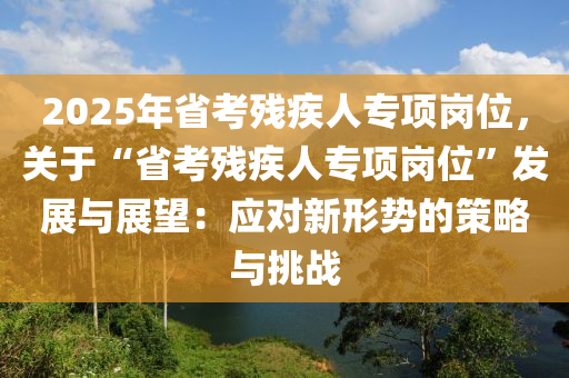 2025年省考残疾人专项岗位，关于“省考残疾人专项岗位”发展与展望：应对新形势的策略与挑战