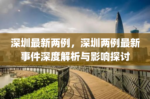 深圳最新两例，深圳两例最新事件深度解析与影响探讨