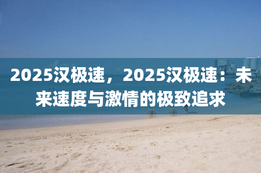 2025汉极速，2025汉极速：未来速度与激情的极致追求