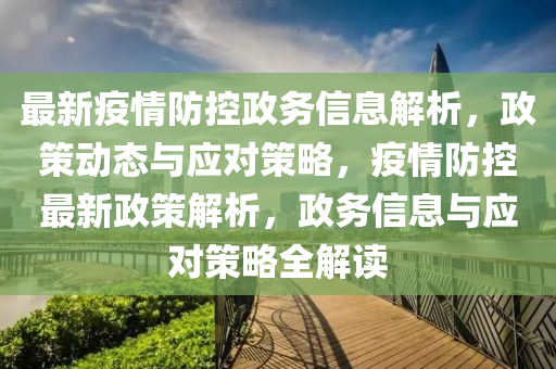 最新疫情防控政务信息解析，政策动态与应对策略，疫情防控最新政策解析，政务信息与应对策略全解读