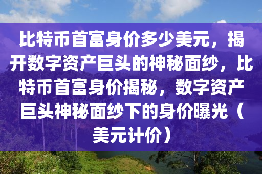 比特币首富身价多少美元，揭开数字资产巨头的神秘面纱，比特币首富身价揭秘，数字资产巨头神秘面纱下的身价曝光（美元计价）