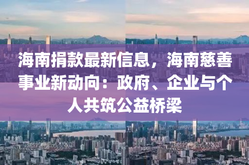 海南捐款最新信息，海南慈善事业新动向：政府、企业与个人共筑公益桥梁
