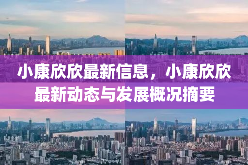 小康欣欣最新信息，小康欣欣最新动态与发展概况摘要