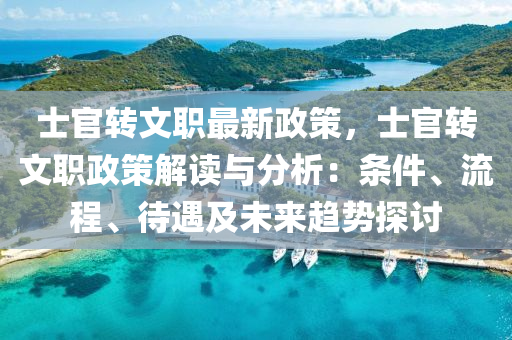 士官转文职最新政策，士官转文职政策解读与分析：条件、流程、待遇及未来趋势探讨