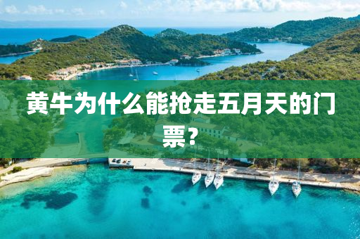 黄牛为什么能抢走五月天的门票？
