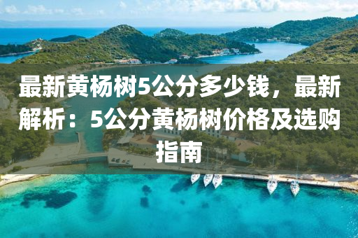 最新黄杨树5公分多少钱，最新解析：5公分黄杨树价格及选购指南