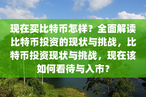 现在买比特币怎样？全面解读比特币投资的现状与挑战，比特币投资现状与挑战，现在该如何看待与入市？