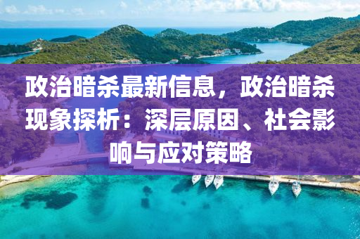 政治暗杀最新信息，政治暗杀现象探析：深层原因、社会影响与应对策略