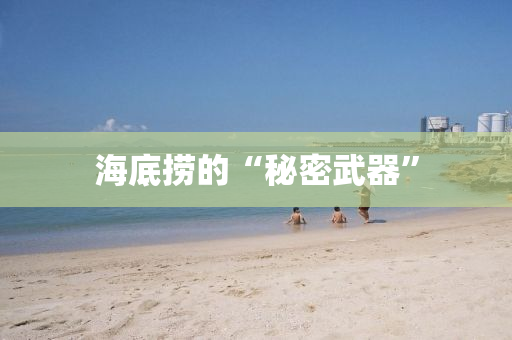 海底捞的“秘密武器”