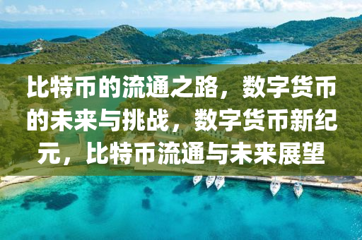 比特币的流通之路，数字货币的未来与挑战，数字货币新纪元，比特币流通与未来展望