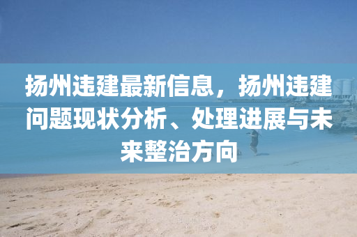 扬州违建最新信息，扬州违建问题现状分析、处理进展与未来整治方向