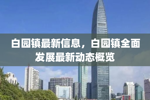 白园镇最新信息，白园镇全面发展最新动态概览