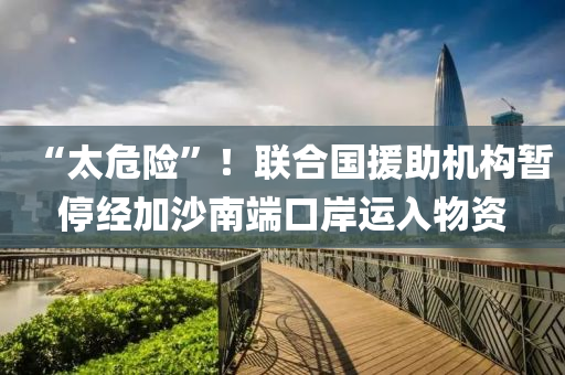 “太危险”！联合国援助机构暂停经加沙南端口岸运入物资