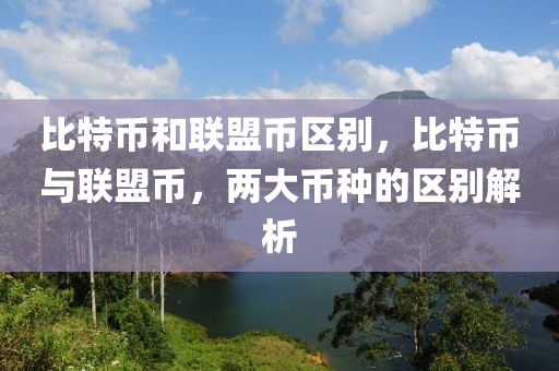 比特币和联盟币区别，比特币与联盟币，两大币种的区别解析