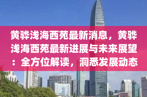 黄骅浅海西苑最新消息，黄骅浅海西苑最新进展与未来展望：全方位解读，洞悉发展动态