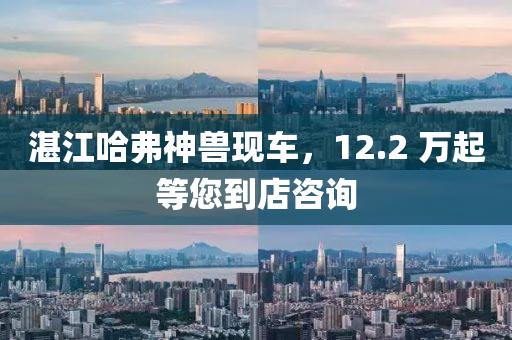 湛江哈弗神兽现车，12.2 万起等您到店咨询