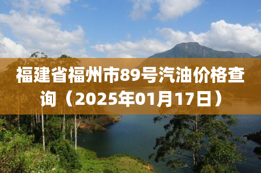 福建省福州市89号汽油价格查询（2025年01月17日）