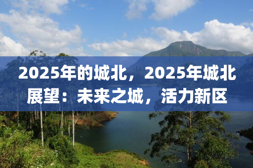2025年的城北，2025年城北展望：未来之城，活力新区