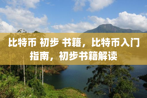 比特币 初步 书籍，比特币入门指南，初步书籍解读