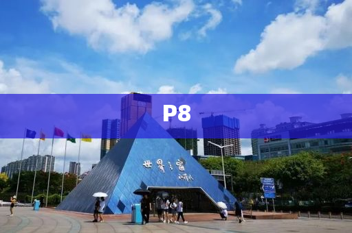 P8