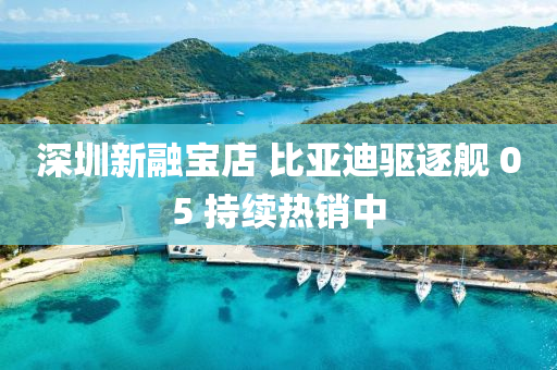 深圳新融宝店 比亚迪驱逐舰 05 持续热销中