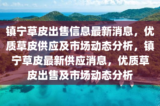 镇宁草皮出售信息最新消息，优质草皮供应及市场动态分析，镇宁草皮最新供应消息，优质草皮出售及市场动态分析