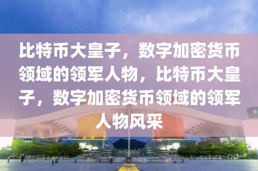 比特币大皇子，数字加密货币领域的领军人物，比特币大皇子，数字加密货币领域的领军人物风采