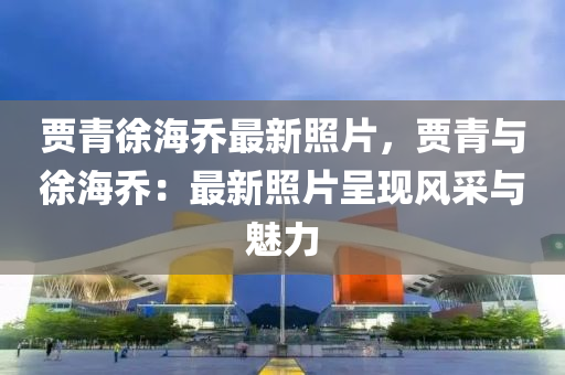 贾青徐海乔最新照片，贾青与徐海乔：最新照片呈现风采与魅力