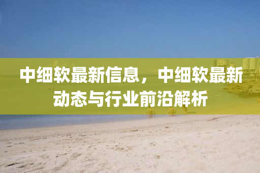 中细软最新信息，中细软最新动态与行业前沿解析