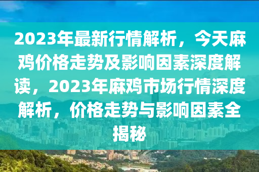 2023年最新行情解析，今天麻鸡价格走势及影响因素深度解读，2023年麻鸡市场行情深度解析，价格走势与影响因素全揭秘