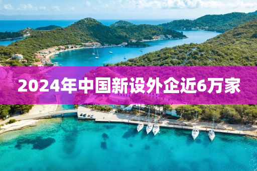 2024年中国新设外企近6万家