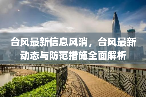 台风最新信息风消，台风最新动态与防范措施全面解析
