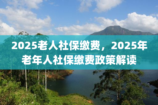 2025老人社保缴费，2025年老年人社保缴费政策解读