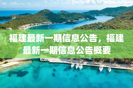 福建最新一期信息公告，福建最新一期信息公告概要