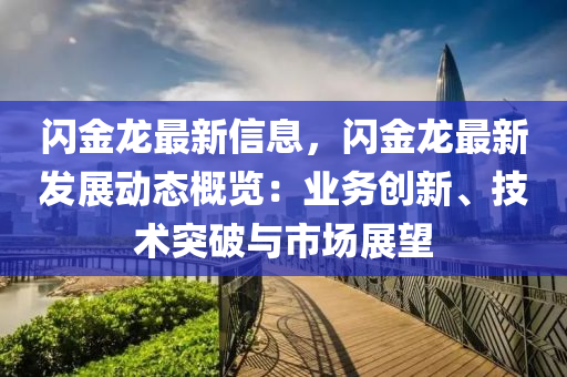 闪金龙最新信息，闪金龙最新发展动态概览：业务创新、技术突破与市场展望