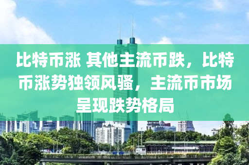 比特币涨 其他主流币跌，比特币涨势独领风骚，主流币市场呈现跌势格局