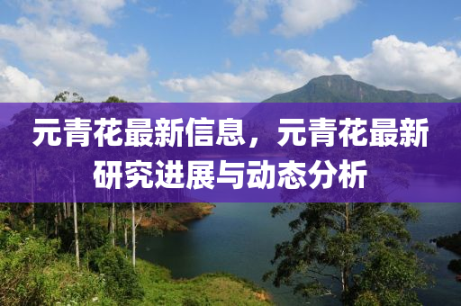 元青花最新信息，元青花最新研究进展与动态分析