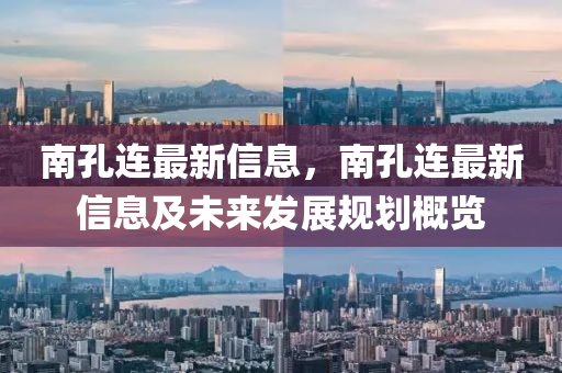 南孔连最新信息，南孔连最新信息及未来发展规划概览