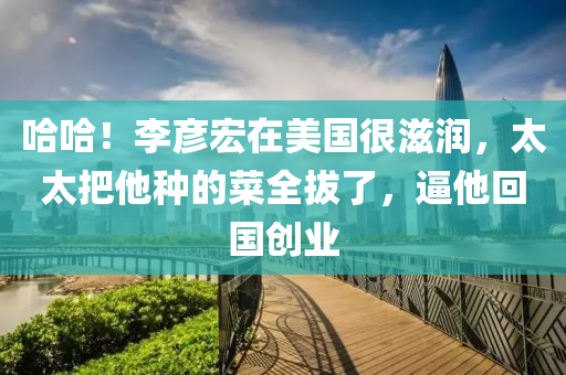 哈哈！李彦宏在美国很滋润，太太把他种的菜全拔了，逼他回国创业