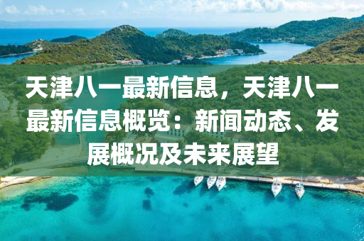 天津八一最新信息，天津八一最新信息概览：新闻动态、发展概况及未来展望
