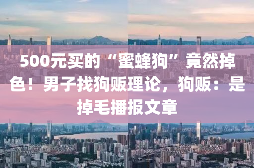 500元买的“蜜蜂狗”竟然掉色！男子找狗贩理论，狗贩：是掉毛播报文章