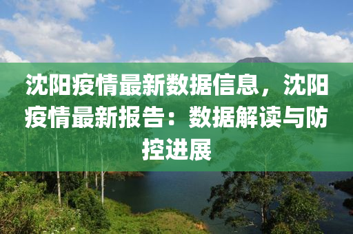 沈阳疫情最新数据信息，沈阳疫情最新报告：数据解读与防控进展
