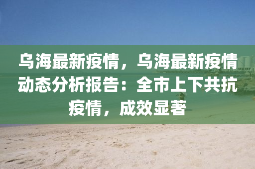 乌海最新疫情，乌海最新疫情动态分析报告：全市上下共抗疫情，成效显著