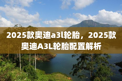 2025款奥迪a3l轮胎，2025款奥迪A3L轮胎配置解析
