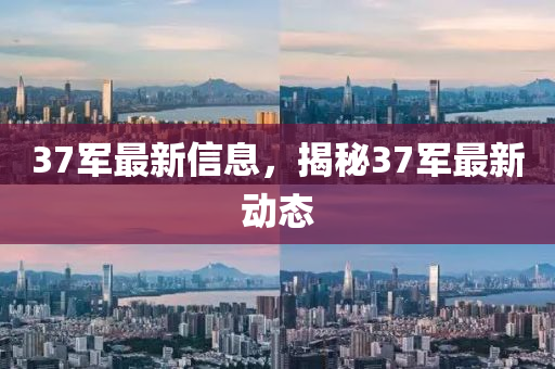 37军最新信息，揭秘37军最新动态