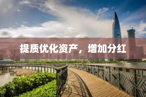 提质优化资产，增加分红