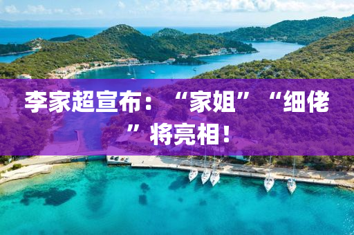 李家超宣布：“家姐”“细佬”将亮相！