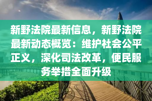 新野法院最新信息，新野法院最新动态概览：维护社会公平正义，深化司法改革，便民服务举措全面升级