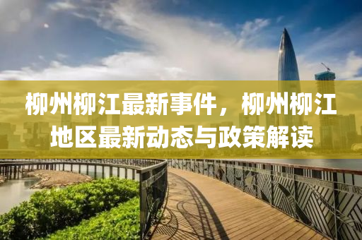 柳州柳江最新事件，柳州柳江地区最新动态与政策解读