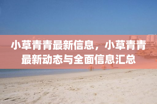 小草青青最新信息，小草青青最新动态与全面信息汇总